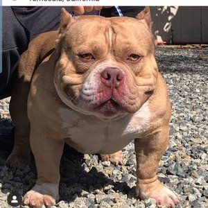 Meet your Posher, Renee